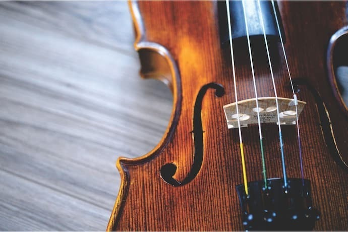 Violino de perto