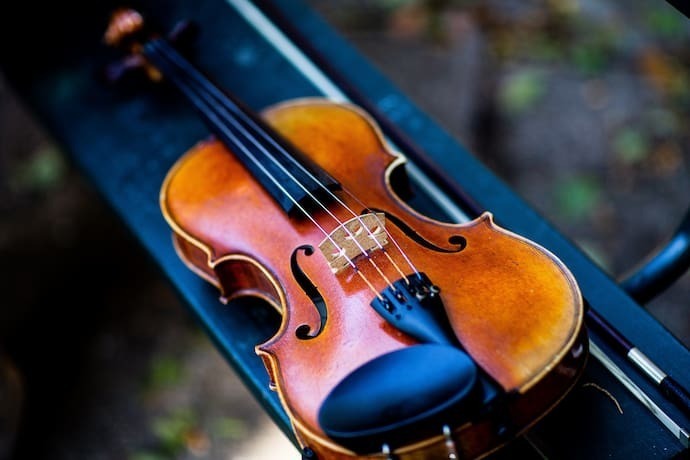 Violino