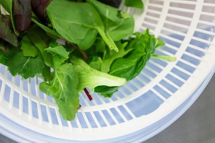 Secador de salada de plástico branco