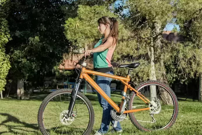 Bicicleta