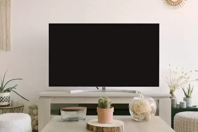 TV