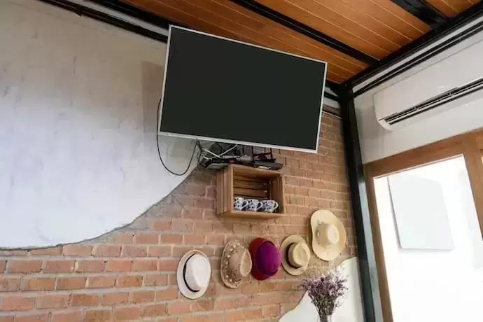 TV