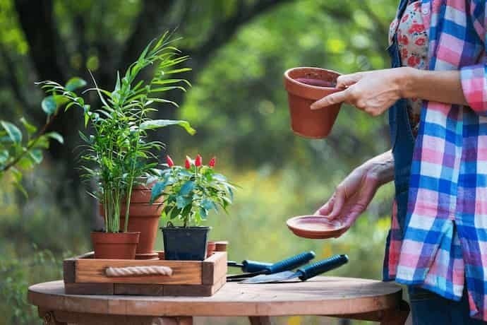 Mulher cuidando de plantas