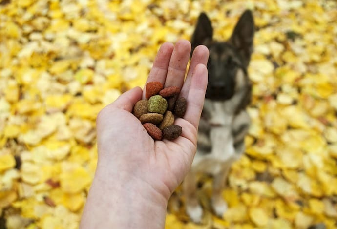 Ração de cachorro